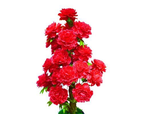 牡丹花的大花盆有特定名称吗？
