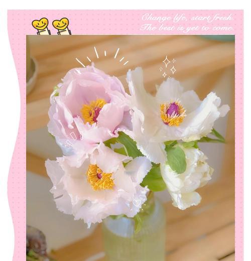 自制牡丹花养护保养方法是什么？