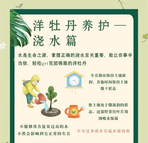 自制牡丹花养护保养方法是什么？