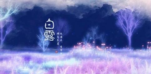 白露时节种植牡丹花的注意事项是什么？