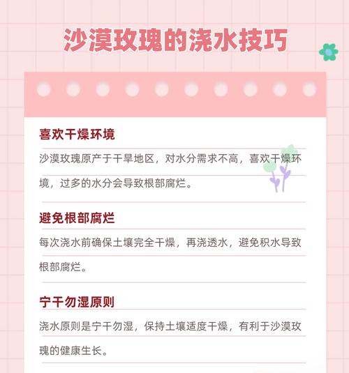 刚买的玫瑰花如何进行养护？需要注意哪些事项？