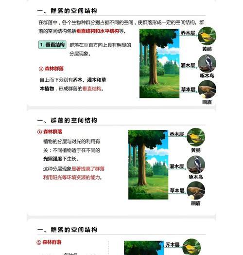 仙人掌的正确养殖方法是什么？如何让仙人掌茁壮成长？