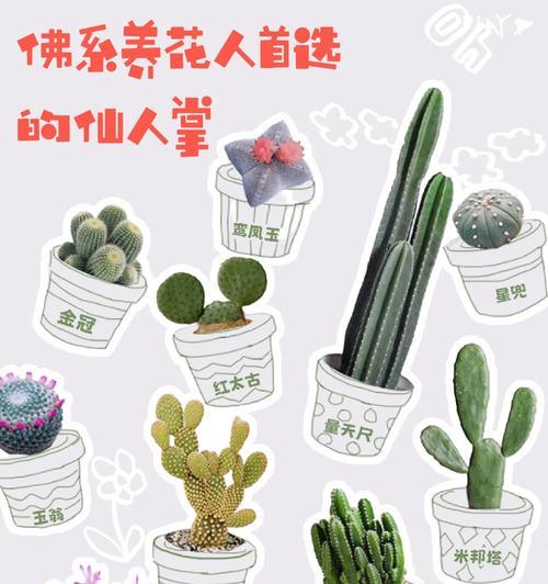 仙人球养殖最适合使用哪种土壤？