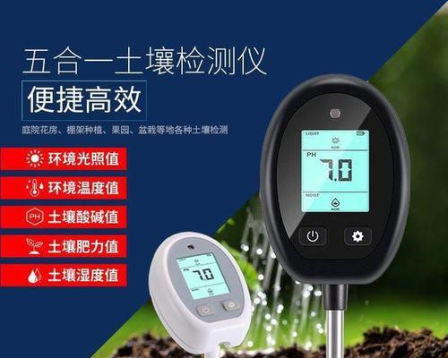 君子兰叶子长太长垂下来怎么办？有哪些处理方法？