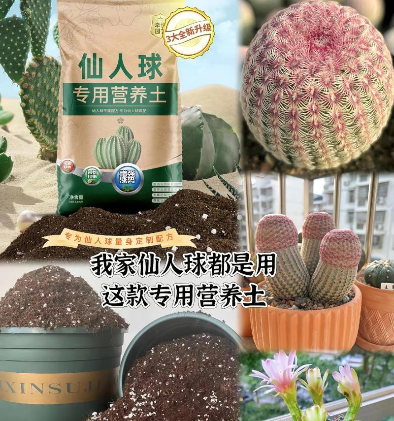 仙人球最佳种植土壤是什么？如何选择？