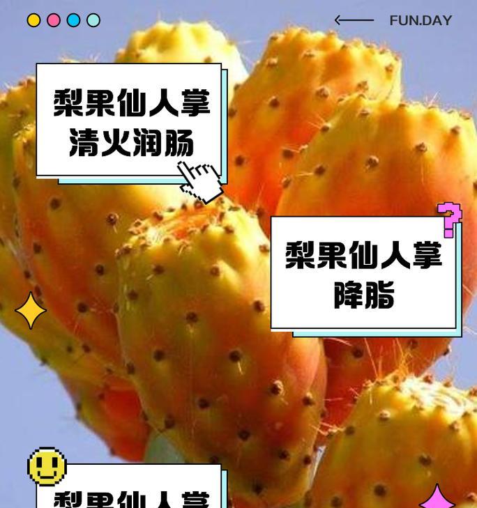 仙人掌开花爆头后应如何处理？