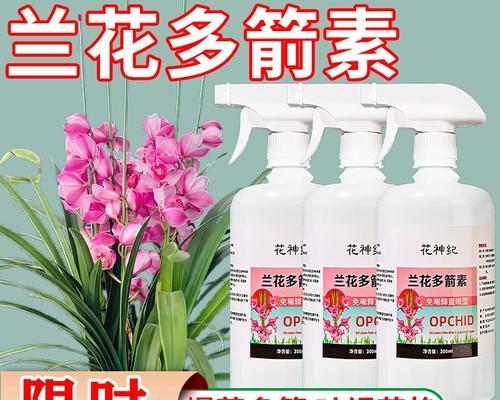 君子兰通常在什么时间开花？如何促进花期？