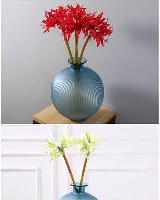 君子兰塑料假花如何养护管理？塑料假花的正确保养方法是什么？