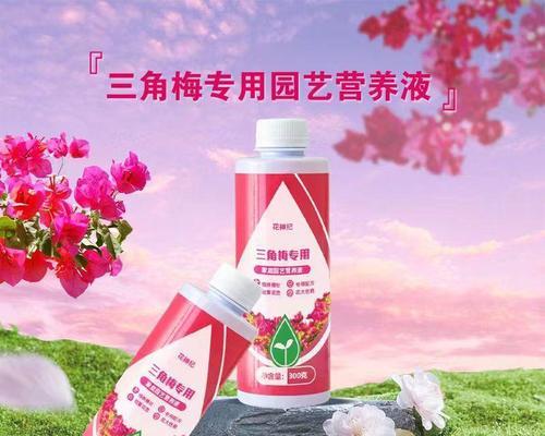 适合仙人球的推荐肥料有哪些？