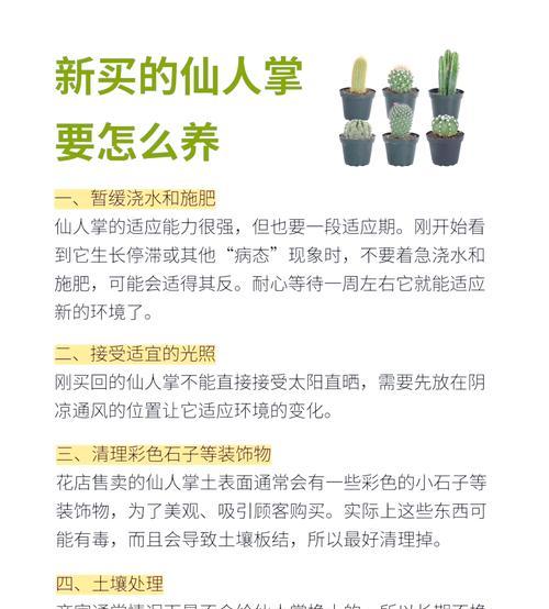 仙人球的用途是什么？如何正确养护？
