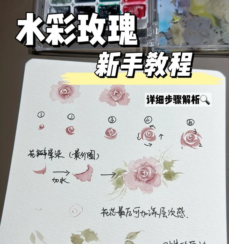 园林中种植玫瑰花的步骤是什么？