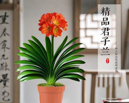 君子兰各品种花期差异的详细解释是什么？