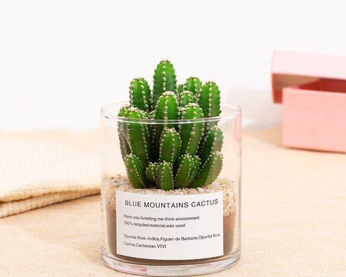 种圆柱仙人掌的种植方法是什么？