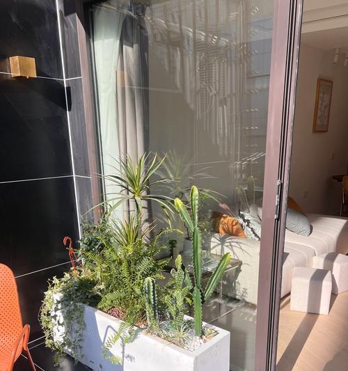 种圆柱仙人掌的种植方法是什么？