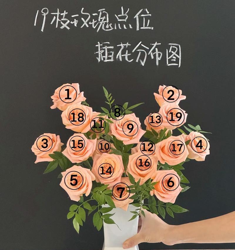 软枝玫瑰花怎么插花束？制作玫瑰花束的技巧有哪些？