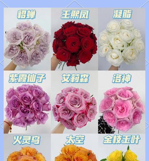 火焰品种玫瑰花的养护要点是什么？