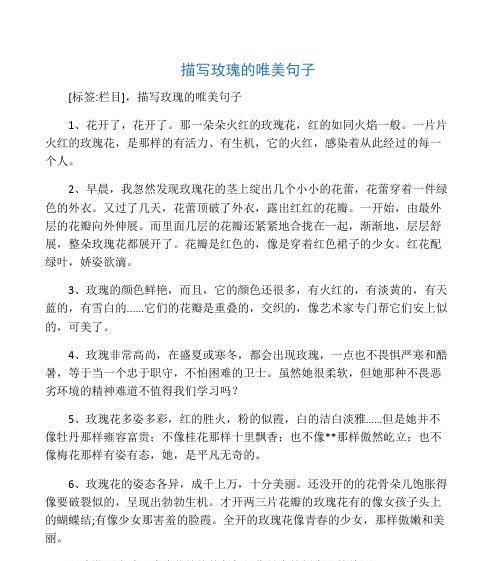 火焰品种玫瑰花的养护要点是什么？