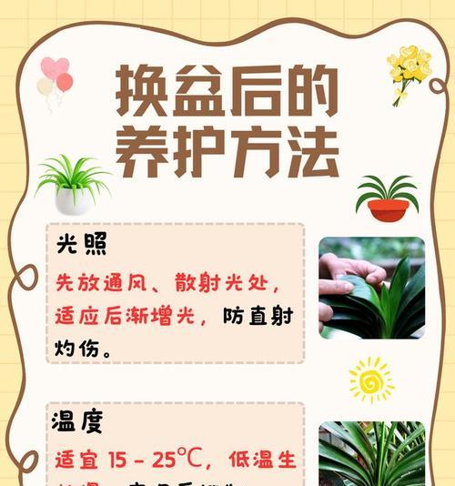 君子兰换土时应该使用什么类型的水？浇水有哪些注意事项？
