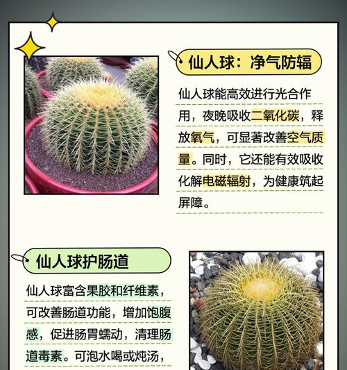 种植仙人球的收益计算方法是什么？
