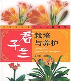 新买的君子兰种植方法是什么？