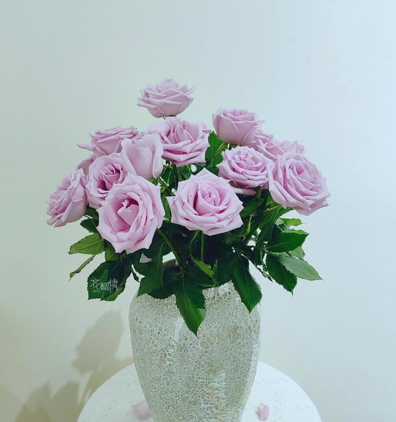 玫瑰花怎么插花瓶草？有哪些插花技巧可以延长花期？