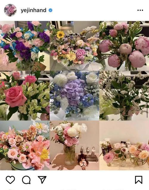 博主是如何讲解花语的？他们分享了哪些内容？