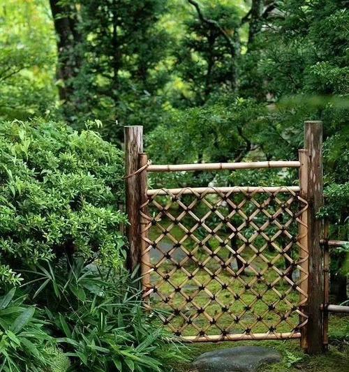 漫步竹林花语代表什么含义？