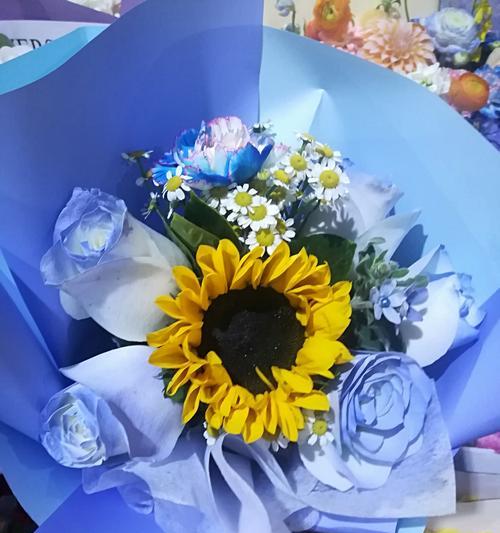 一支葵花代表的花语是什么？