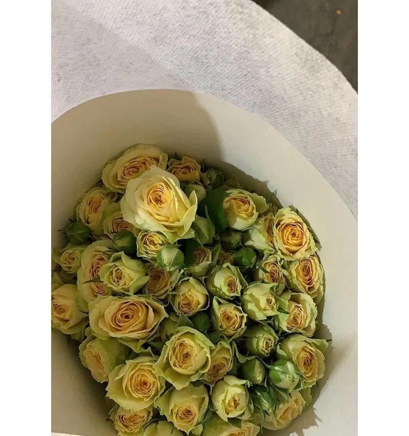 多头玫瑰包装的花语是什么？多头玫瑰代表了哪种情感？