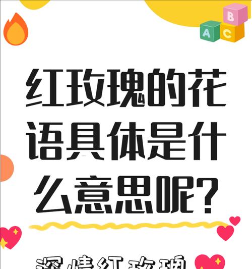 深玫红玫瑰代表了怎样的情感？