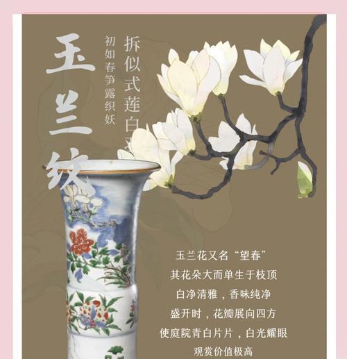玉折兰花的寓意和花语有何深意？