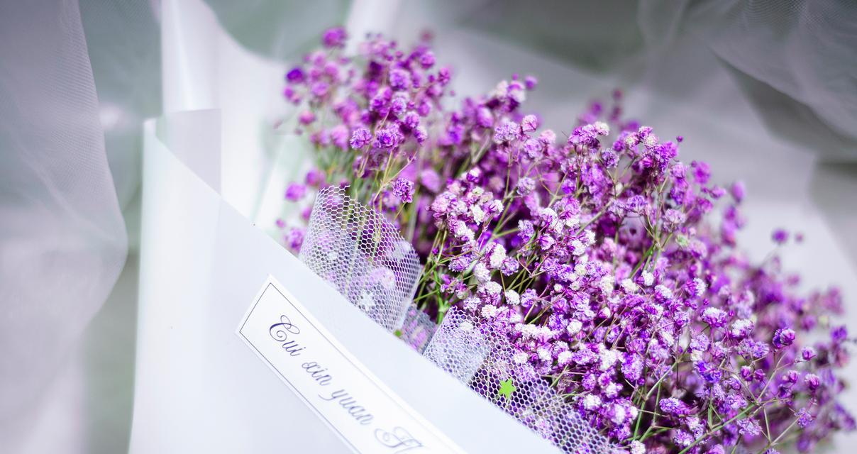 星空紫色玫瑰花的花语是什么？它象征着什么？