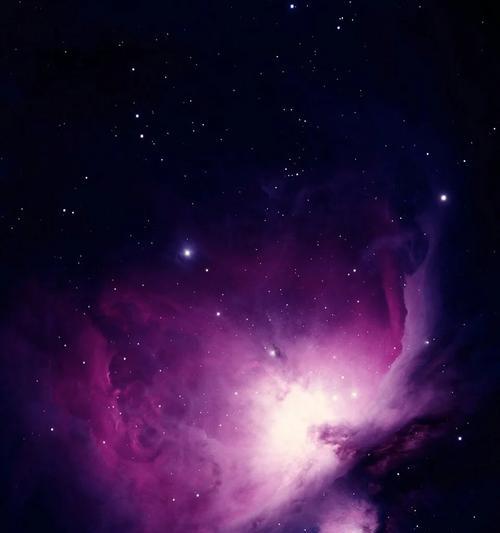 星空紫色玫瑰花的花语是什么？它象征着什么？