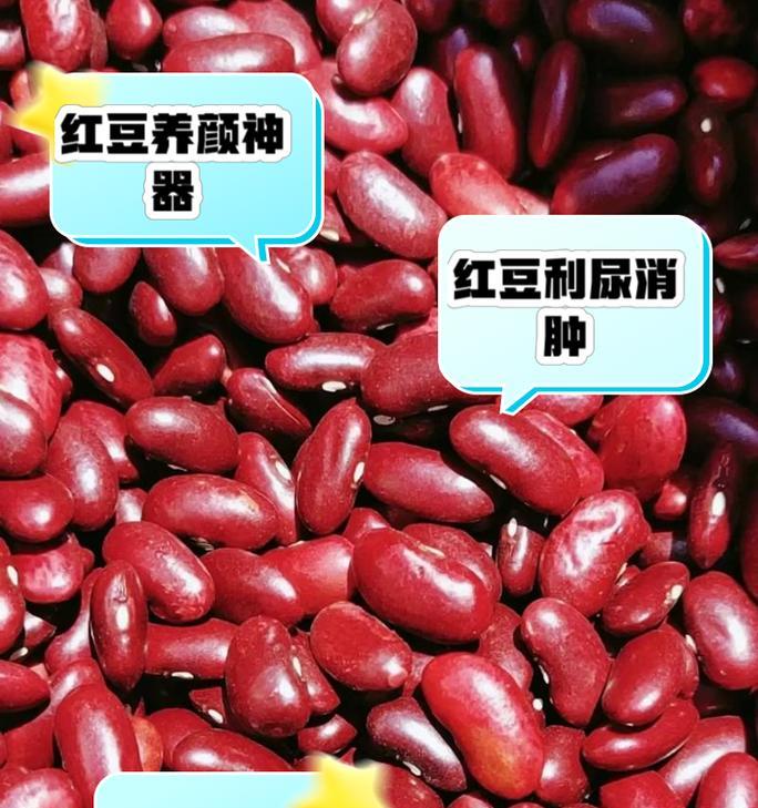 红豆象征着什么？