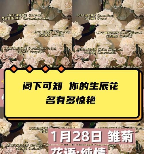 哪种花的花语是遇见？花语是遇见的花有哪些？