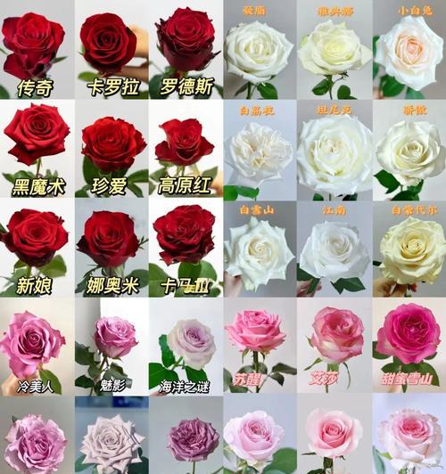 男生送花时的花语是什么？送花时应该注意什么？
