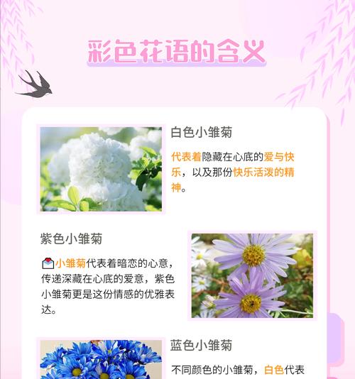 道具雏菊的花语代表什么？道具雏菊适合在什么场合使用？