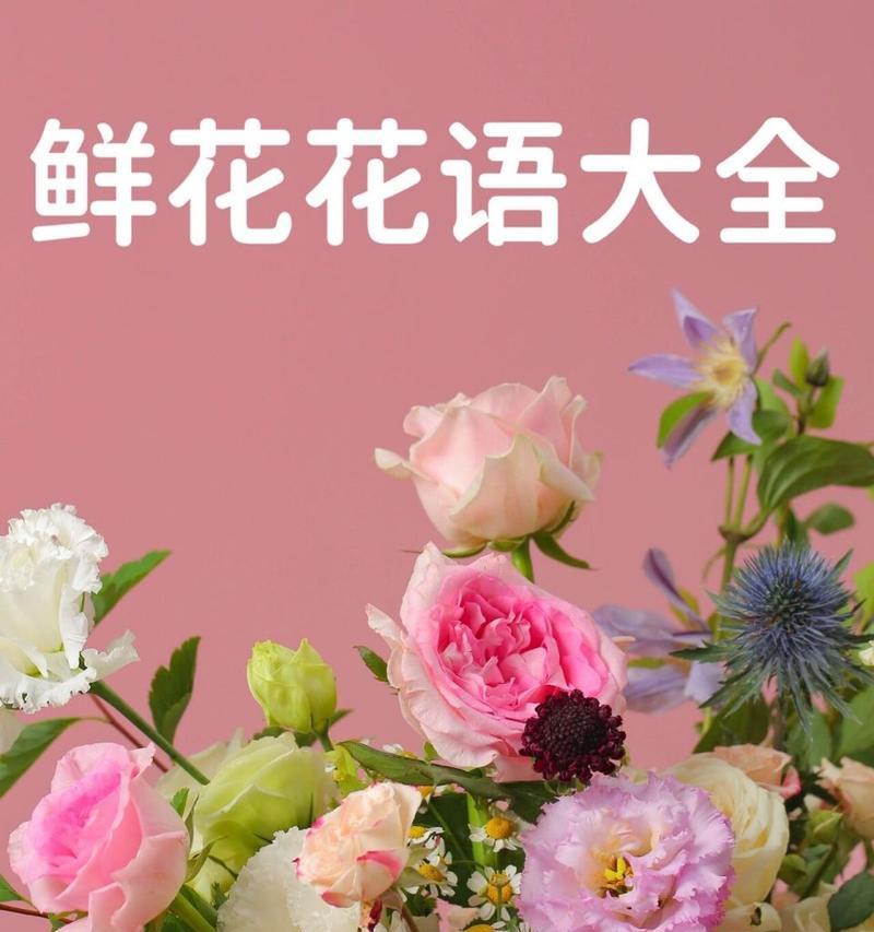 哪种花的花语是热爱与坚持？