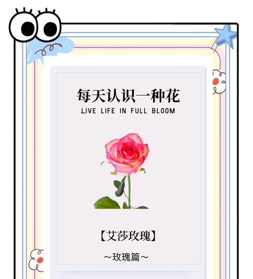 百合艾莎的花语是什么？它有什么特别的含义？
