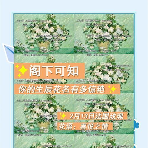 身体健康对应的花语是什么？