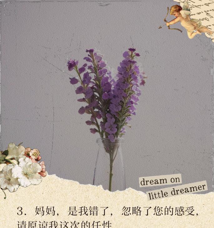 哪种花代表认错和道歉？