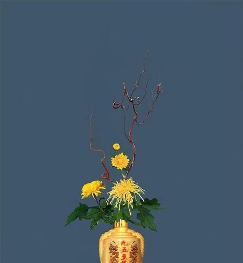 十二重菊的花语是什么？它有何特别之处？