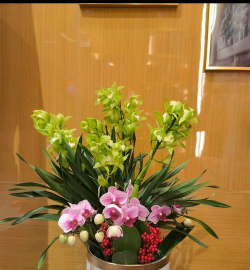 鬼兰花的寓意和花语有何不同？它在文化中象征什么？