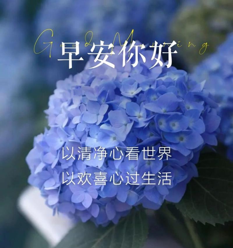 早安的花语有哪些？哪种花语适合用来说早安？