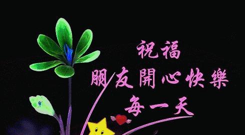 祝你早点痊愈的花语通常是什么？