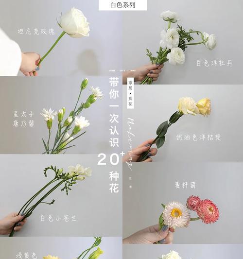 如何通过测试了解自己的花语？花语测试有哪些步骤？