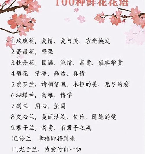 如何通过测试了解自己的花语？花语测试有哪些步骤？