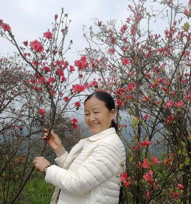 白竺花的花语代表了什么意义？