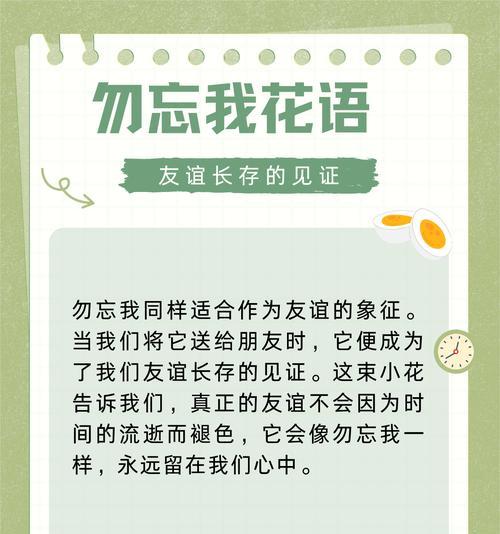 哪种花代表了友情的花语？