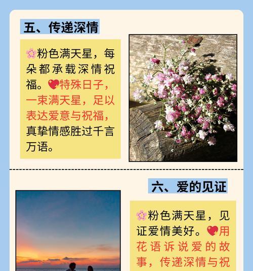 送女孩什么花语最合适？哪种花语最能表达爱意？